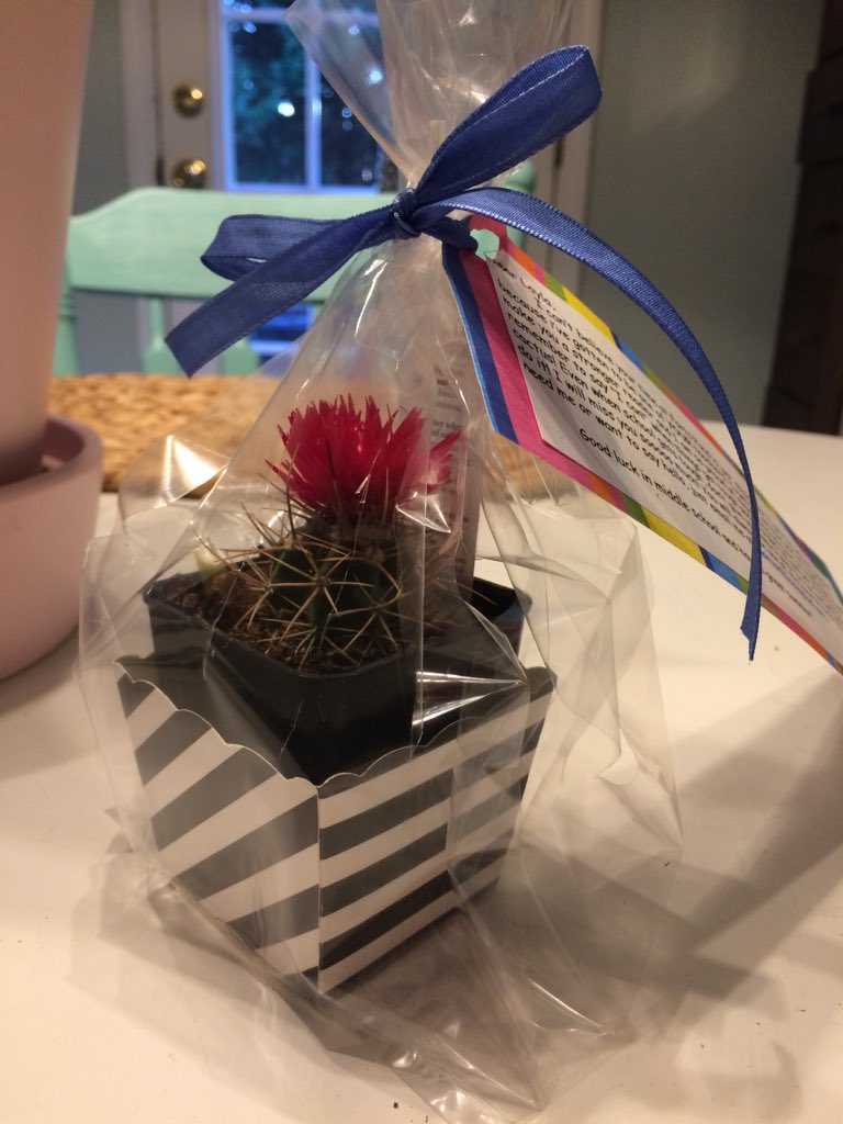MrsJessieGarner's tweet photo. A Cactus for each of my 5th graders to remind them to persevere and keep trying when things get tough! A little farewell gift so they won’t forget all they’ve accomplished in elementary school or me! 😭 #garnersgrowsandglows #ican #belikeacactus https://t.co/xSx6e3HUFj