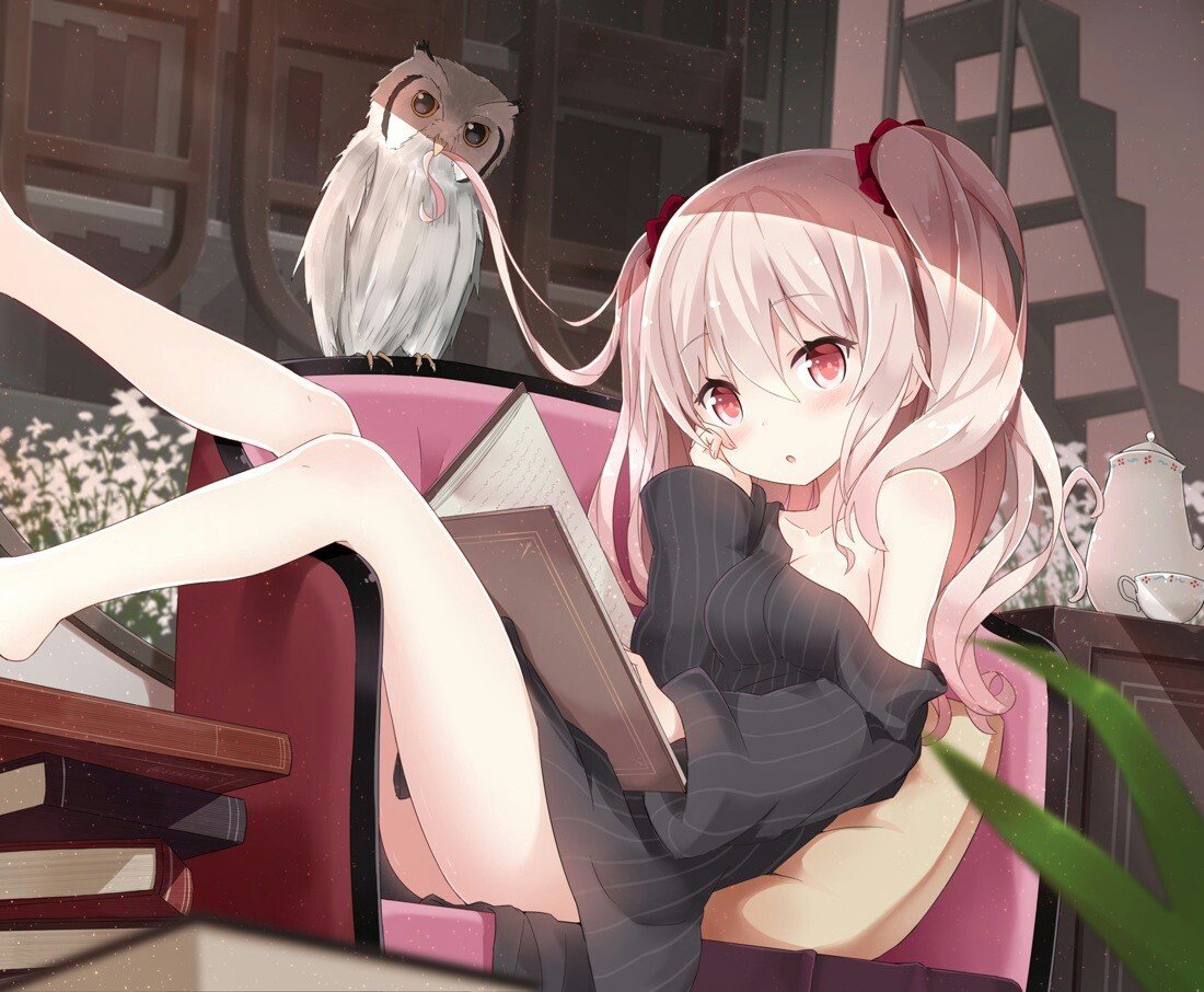 WorldEcchi's tweet image. Bonne soirée x)