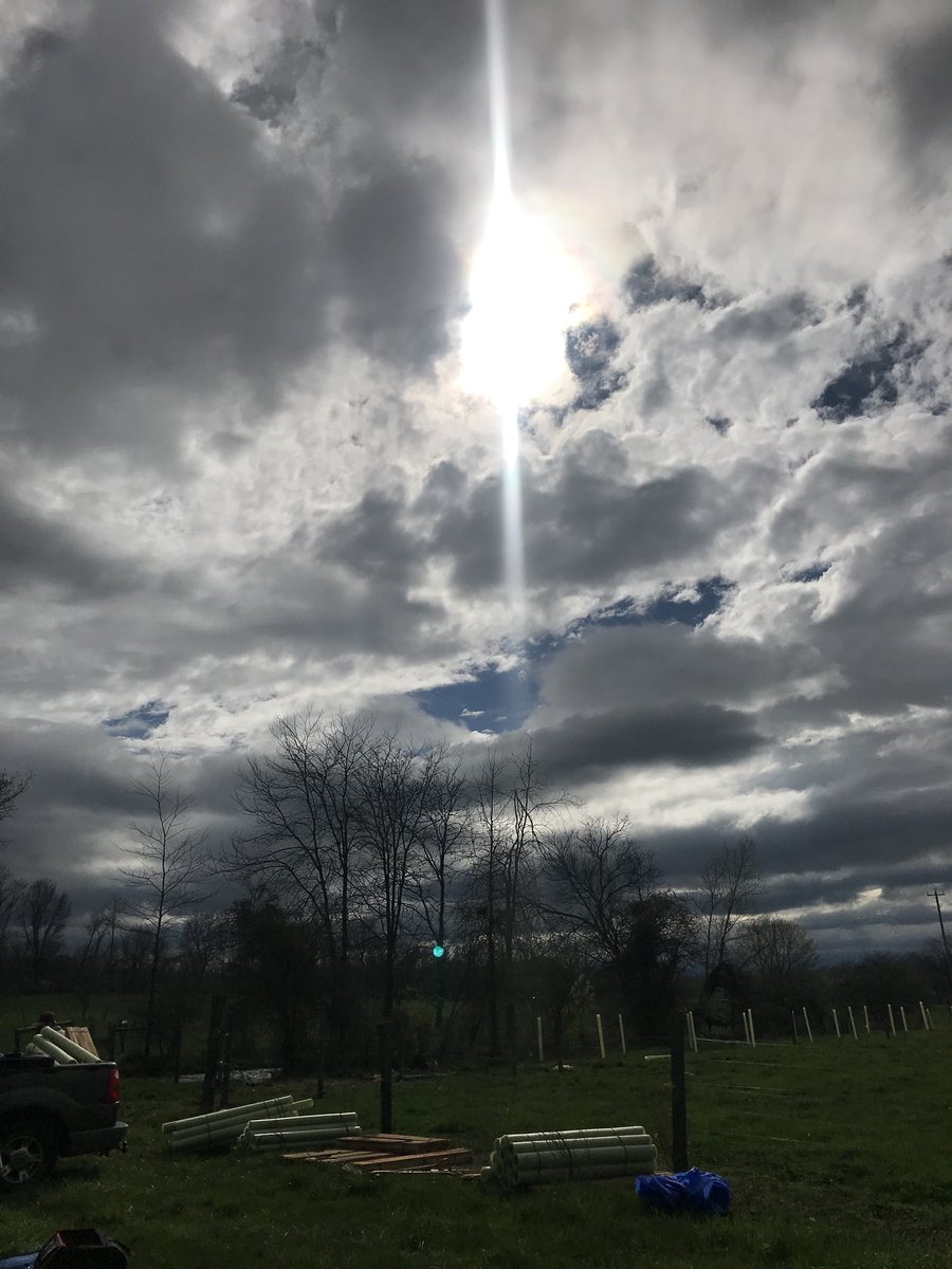 Sun is peeking through for students working on Stream Buffer Planting! #RecycleShip #GESO