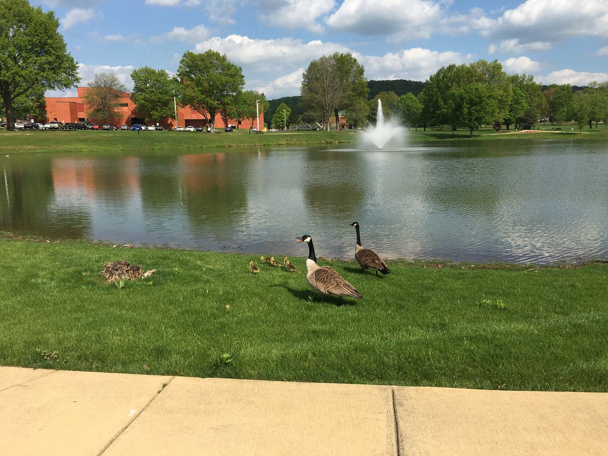 aamuedu's tweet photo. #AAMU #students #Jamall Hamilton and #Therosie #Palmer #relax by #Legacy Lake #hbcu https://t.co/MA8IQBN9WT