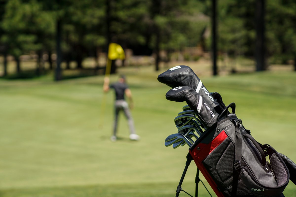 ping leather golf bag