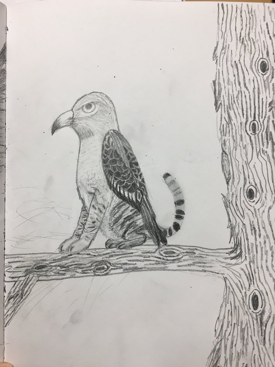boonclass's tweet photo. So incredibly impressed with my Grade Nine artists. These are samples of amazing and creative sketchbook assignments. #creativity #arts #TVDSBArts @tvdsb @TVDSBglobal @Oakridge_SS #OakArt https://t.co/gDIs20J1cz