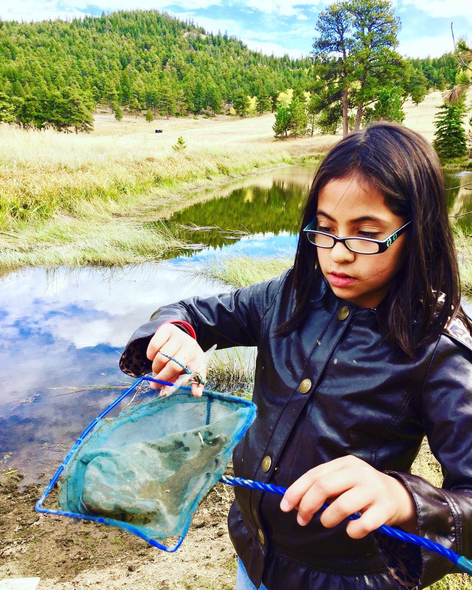 STEMLaunch's tweet image. Our commitment to high-quality #STEM education for all students is being recognized by #TheSucceedsPrize! We’re a finalist for $15K to support our ongoing success. Like &amp;amp; share to cheer us on! 9news.com/article/life/e… #edcolo @9NEWS @mymindSpark @COSucceeds @BallCorpHQ