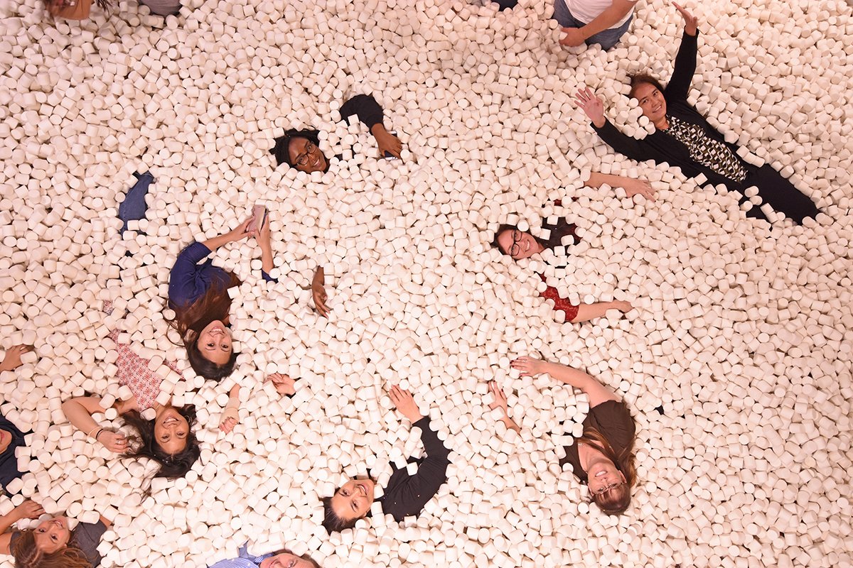 VectorUSA's tweet photo. Our Administration Team took a brief break to celebrate Administrative Professionals' Day by visiting @thecandytopia. Happy Administrative Professionals' Day! #adminstrativeprofessionalday #Candytopia #VectorUSA https://t.co/kHbdzXUqdb