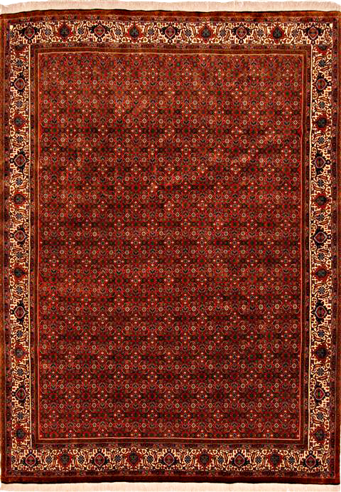 rugmanrugs's tweet photo. Persian Bidjar Rectangle Area Rug. ✨ This Rug Hand knotted by traditional artisans in Iran. https://t.co/Az7YpvhbCa | #TransitionalRug #Rugs #Carpets #Flooring https://t.co/TIQKoOGczZ