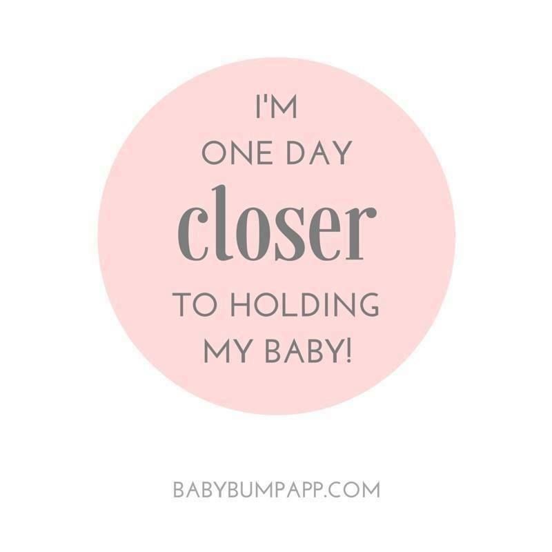 Baby Bump tweet media