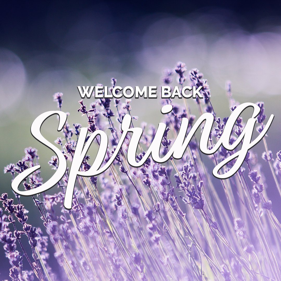 FIRSTFCU's tweet photo. #Spring has finally arrived in #Chicago...hopefully 😊.  Time to put away our winter apparel for now and enjoy this beautiful weather 😀. #FFCU https://t.co/ReyIhFH8OW