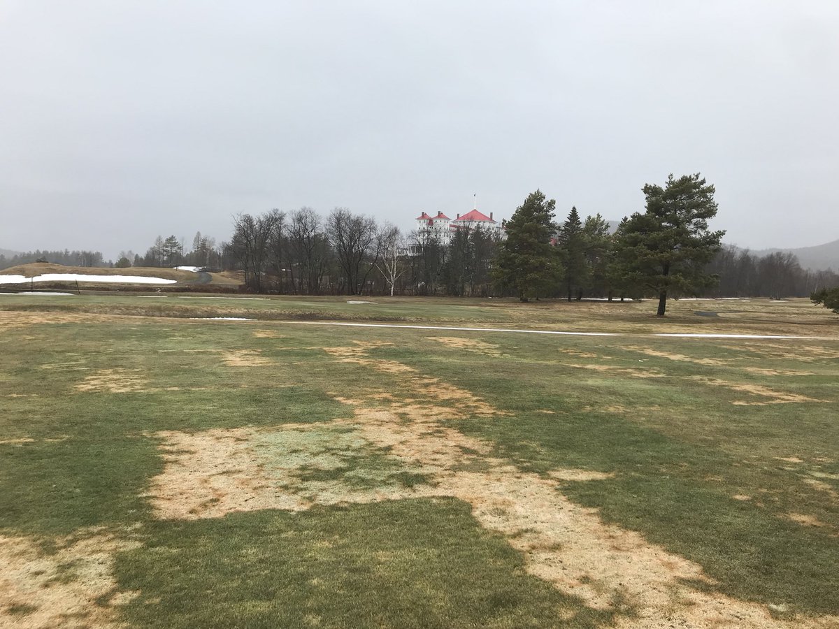 UMass Turf Pathology tweet media