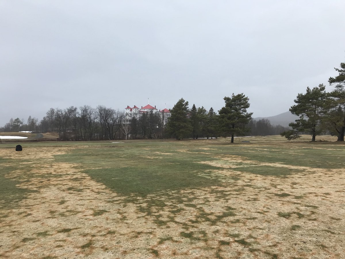 UMass Turf Pathology tweet media