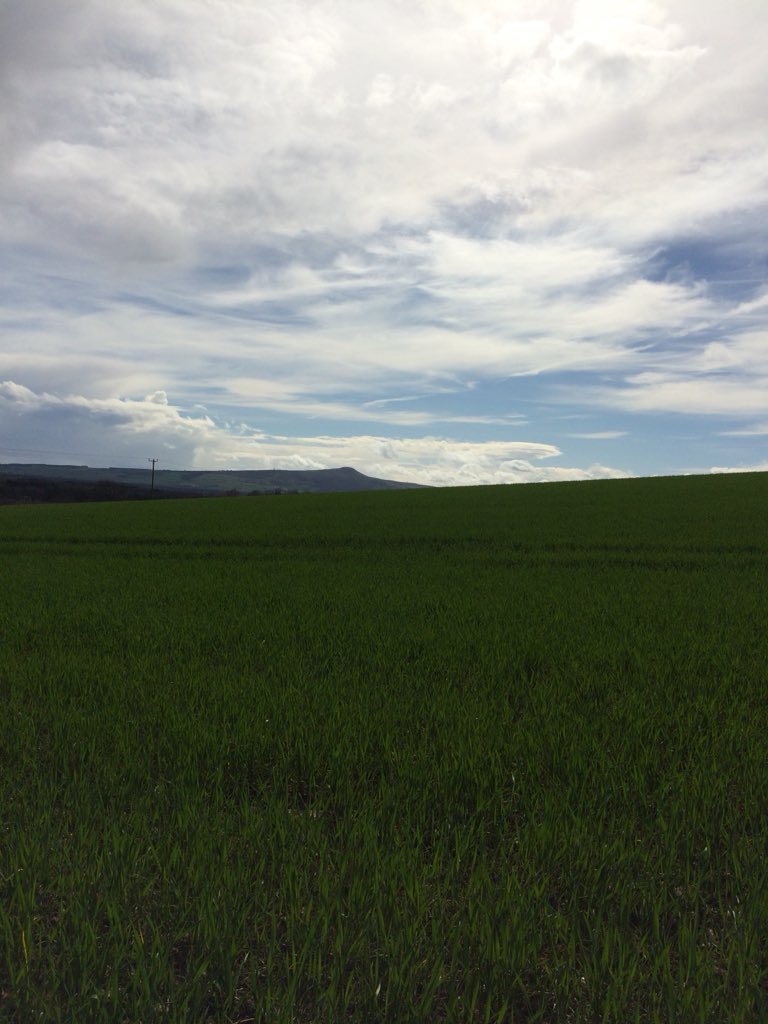 Stopping to enjoy the skylarks singing at the edge of the woods today. Really feeling a change in the light and air now. The joys of witnessing and being a part of the seasonal changes that happen in the woods #presencenatureplay #skylark #outdoornursery #connectionwithplace