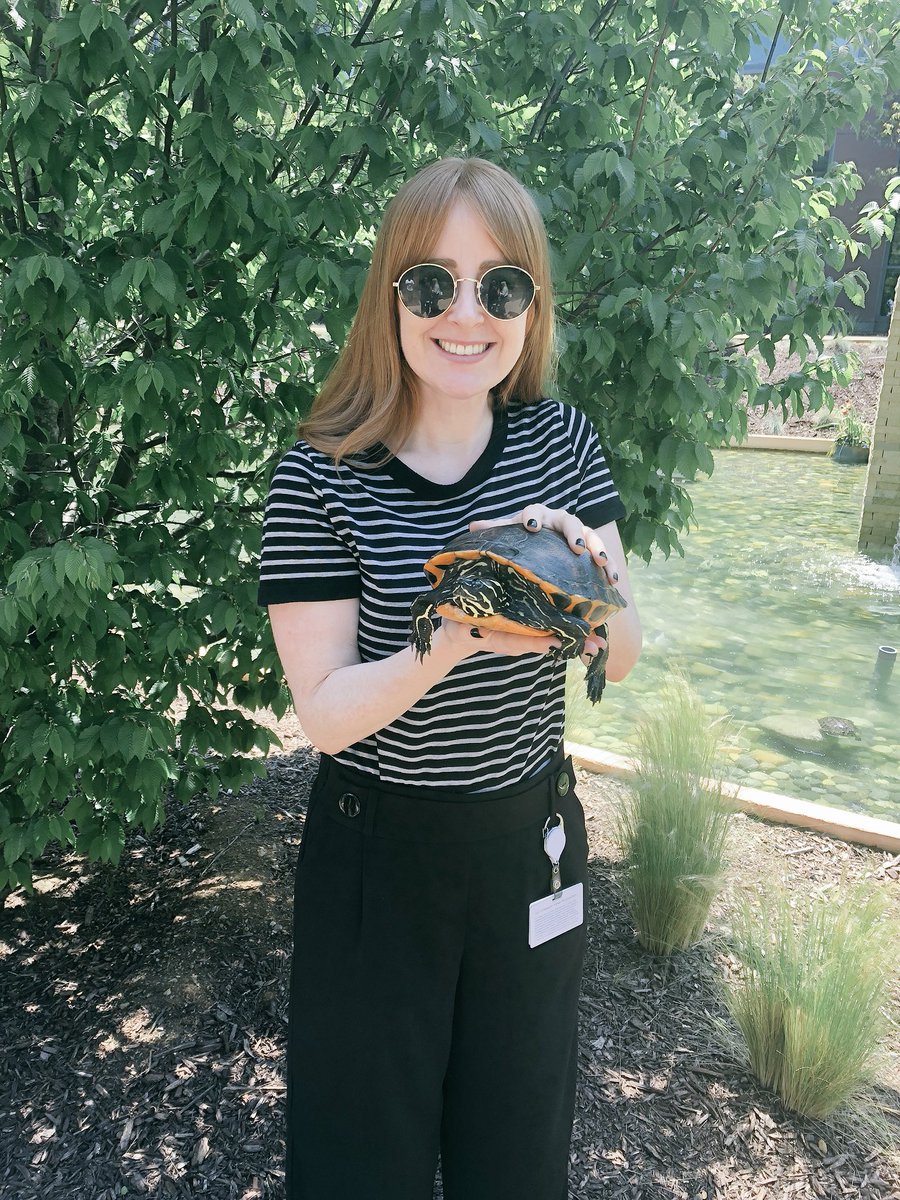 ClaireJORegan's tweet photo. The myth, the legend @goodall_jeff thanks so much for the tour of the mothership and for letting me hold one of the amazing @VMwareTurtles #vmwareturtles https://t.co/uEBcP10Kq0