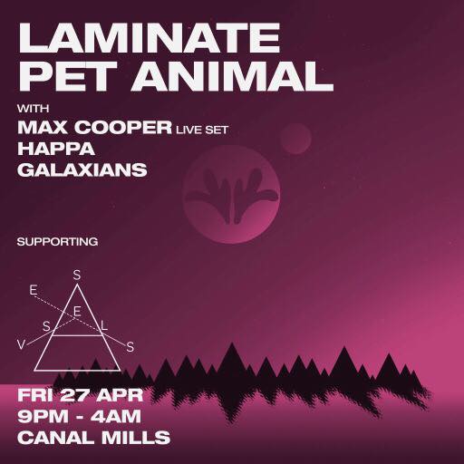 Laminate Pet Animal tweet media