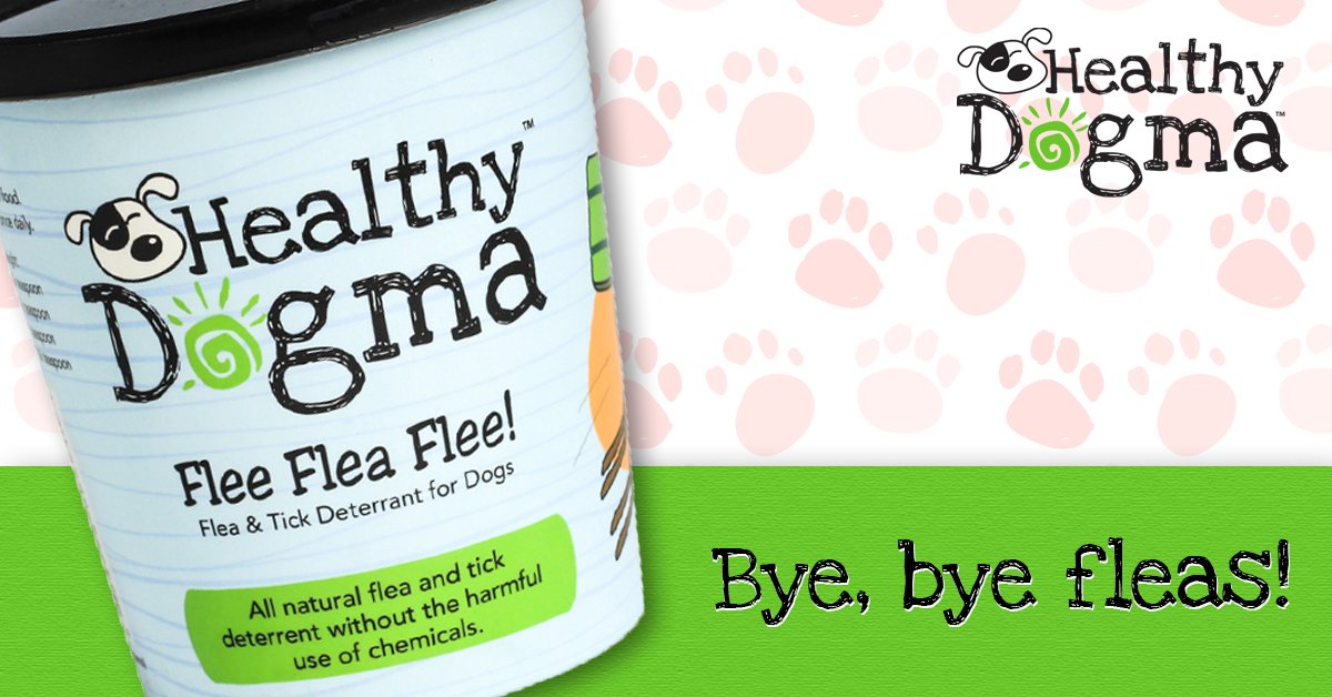 HealthyDogma's tweet image. Did you know that an adult flea can lay up to 40 eggs at a time? Help your dog deter those pests with Flee Flea Flee! bit.ly/FleeFleaFlee

#fleaprotection #dogs