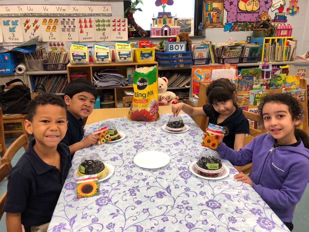 We have future gardeners in Mrs. Mondanaro’s kindergarten class. They are learning about the life cycle of flowers through the growth of sunflowers!🌻🦅💚 #bboedearthday2018 #EarthDay18