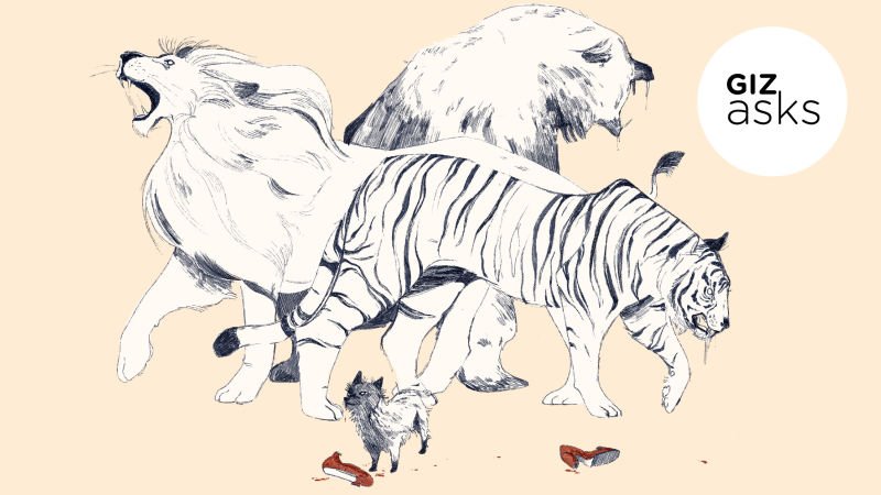 NCStateCNR's tweet photo. Ever wondered which animal species poses the biggest threat to humans? #NCStateCNR Prof. Madhusudan Katti (@leafwarbler) weighs in in this @Gizmodo feature. https://t.co/j86OsU3Ygp https://t.co/EM8guqwSxn