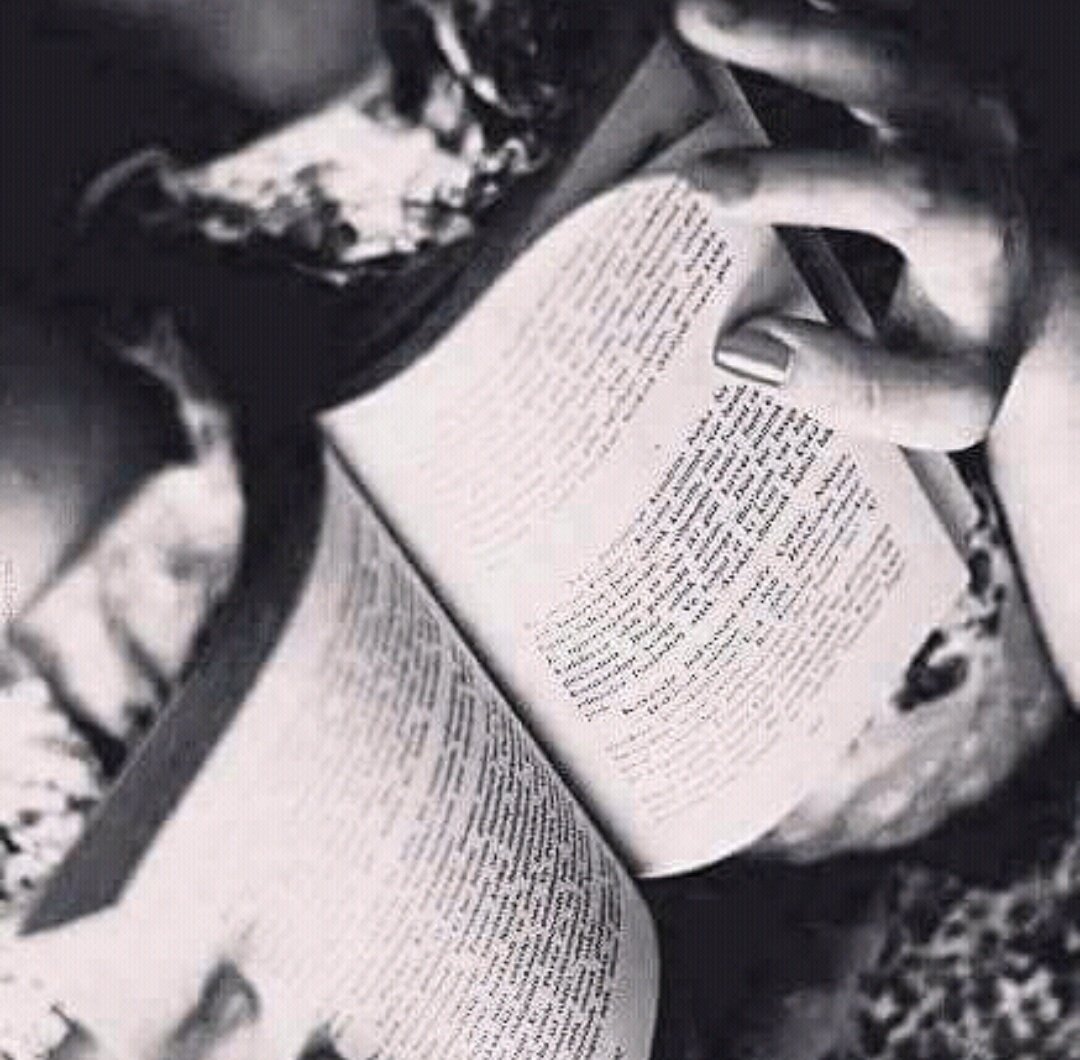 Miscelania_5's tweet photo. La mente y los libros sólo funcionan si están abiertos... https://t.co/7GfrRr3bfl