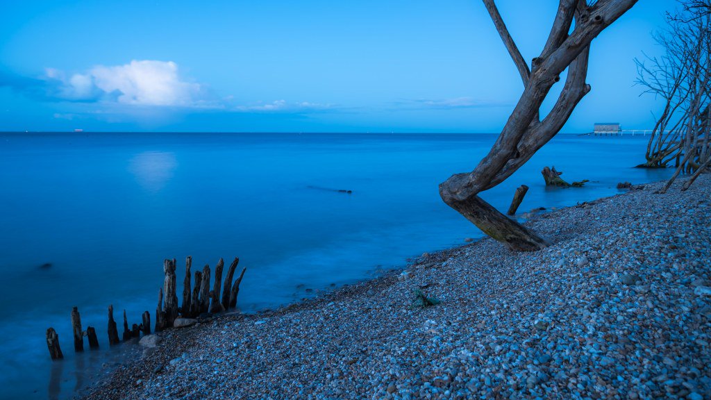 focalthingy's tweet photo. Definitely Deadwood... #Bembridge #IsleofWight #Beachscape #treescape #longexposure #bluehour #deadwood #unusual #coast #stormhour #UKcoast #thewight https://t.co/O8mkuPyZnC https://t.co/UaMJNLXW9Z