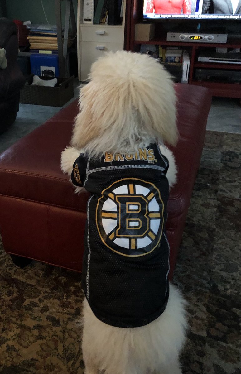 schoolqueen11's tweet image. Go B’s!
