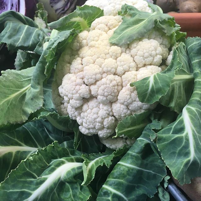 cherrysprout's tweet photo. Nice leafy Organic Cauliflower from Mustard Seed Farms-only $2.49lb
.
.
.
.
.
#cauliflowerpizza #cauliflower #organic #organic #oregon #eaterpdx https://t.co/Gq9meVu5cc https://t.co/RdLajanXQk