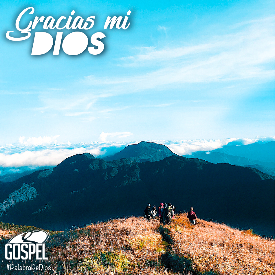 GospelEnLinea's tweet photo. #PalabraDeDios
¡Gracias mi Dios!
#GospelEnLinea https://t.co/6aTnIHMq7R