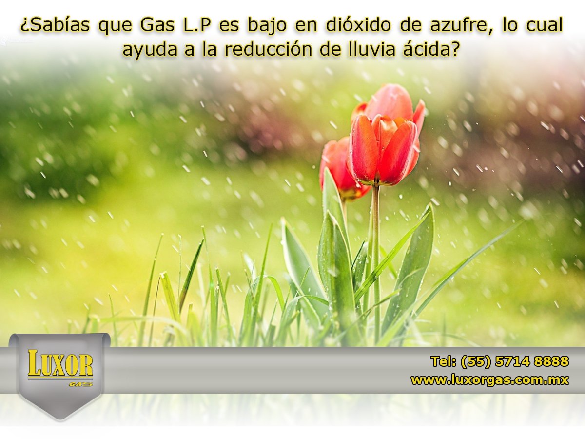 Luxor_Gas's tweet photo. ¿Sabía que el gas lp es bajo en dióxido de azufre lo cual, ayuda a la reducción de lluvia ácida? #Curiosidades del #Gas 
#suministroDeGas https://t.co/svcJsR5IjI. https://t.co/AaUInD96dR