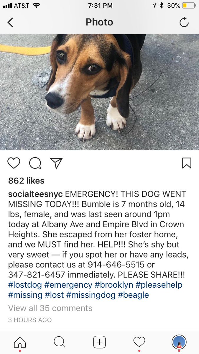 KelsBairRob's tweet image. Keep an eye out, NYC! #furalert 💔