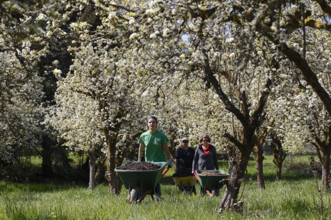 GiveMore24's tweet image. Have you seen @SlowFoodSWWA at work? @thecolumbian covered their recent volunteer outing to maintain a local orchard buff.ly/2HXFyLI