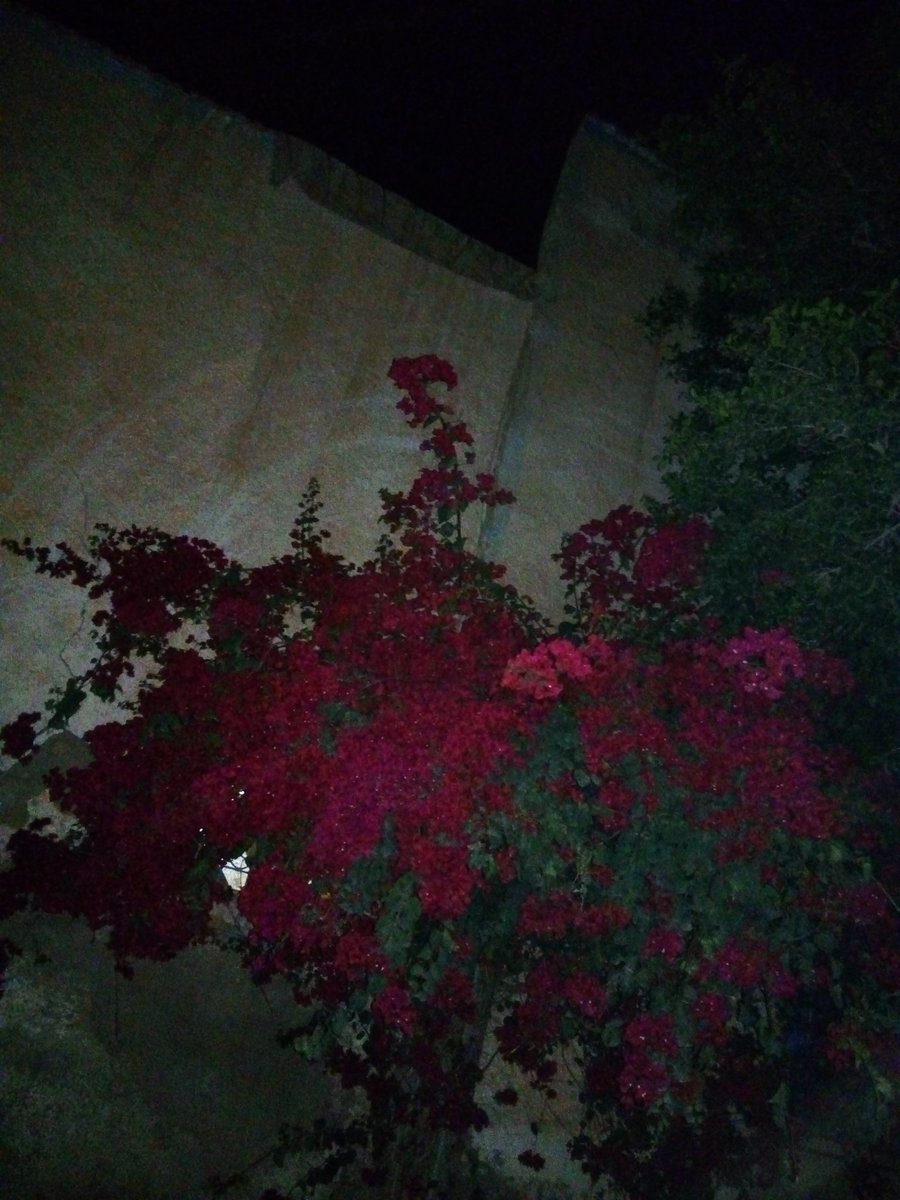 Raja Joula (@joularaja) on Twitter photo 