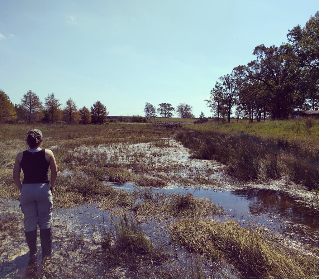 ecoengineerDani's tweet photo. Day 3/20 #WhyNCState: Through @NCStateCALS Honors, I researched viability of rainwater harvesting in Sub-Saharan Africa & drinking water and sanitation issues in the developing world! I also researched w/ @birgandwaterlab through the program on #streamrestoration https://t.co/frsaNe3Ohm
