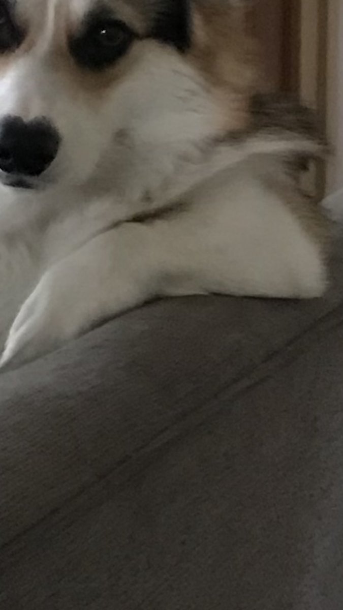 cuando te mandaste una cagada pero no te importa nada