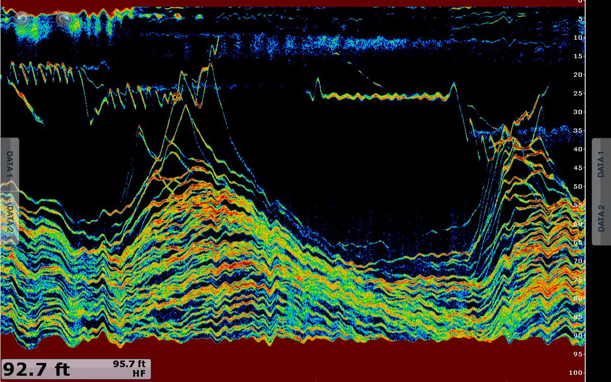 PMCNY's tweet photo. For anyone using the Furuno DFF1-UHD CHIRP Sounder, make sure to update the SW to V2.01 as it makes a HUGE difference in performance. https://t.co/ard0eqvYmV https://t.co/6CkHqRu3NY