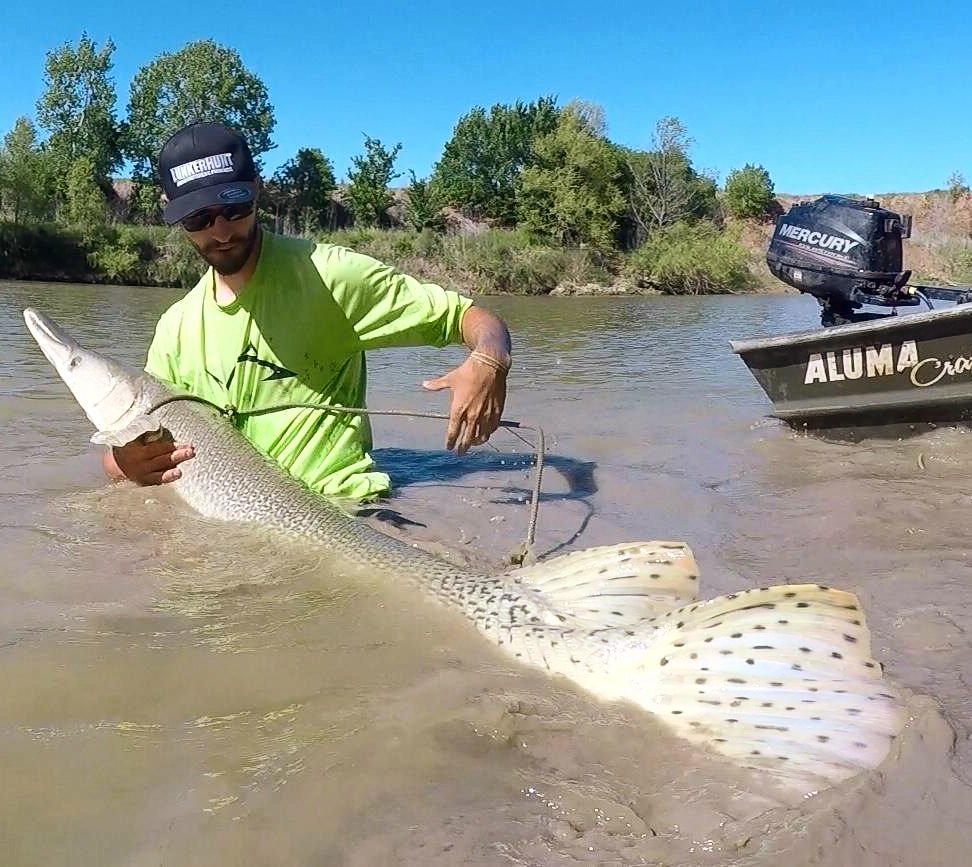 #teamlinecutterz Pro Staffer and <a href="/pigpatrol/">john smith</a> angler @typigpatrol a.k.a. #GARKING with another BRUTE! We can't wait to CPR one of these prehistoric 7ft mud monsters!  Congrats on this amazing catch Ty!!
#beast_mode