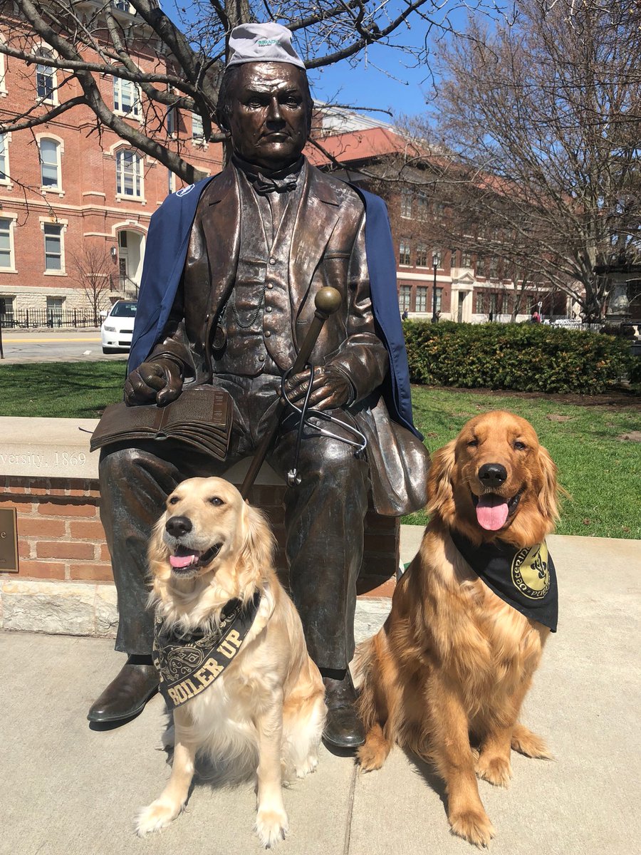 Purdue_SAVMA's tweet photo. Representing the GOLDen and black ! #SAVMA #PurdueDayofGiving  #CutestPets https://t.co/I0tnK8Ga4u