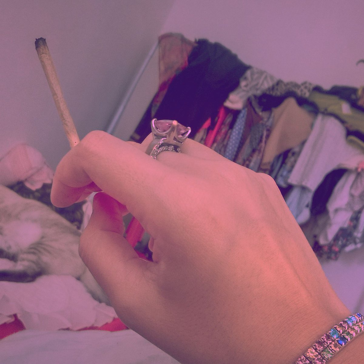 bananaexplicit's tweet photo. Bote esse!#legalizecannabis #ganja #weed #stoner #ganjagirl #dope #cannabis #joint #loveandpeace #hippie #mess https://t.co/SEntdLptSG