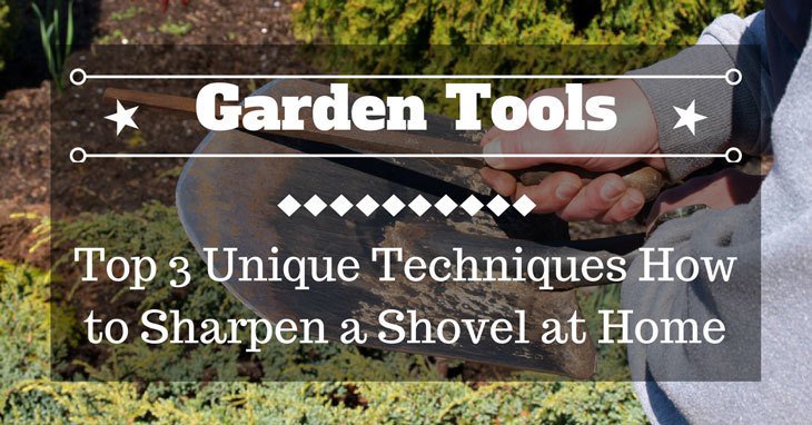 Ella Wilson tweet media