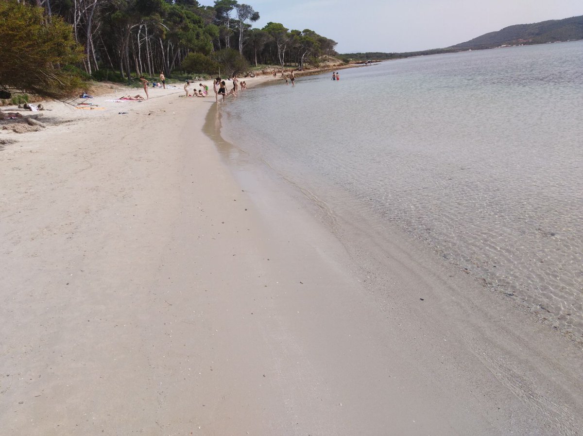 sardegna_di's tweet photo. Un angolo del  nostro paradiso #Sardegna #Alghero  #Pinetamugoni https://t.co/ImZfurPTHb