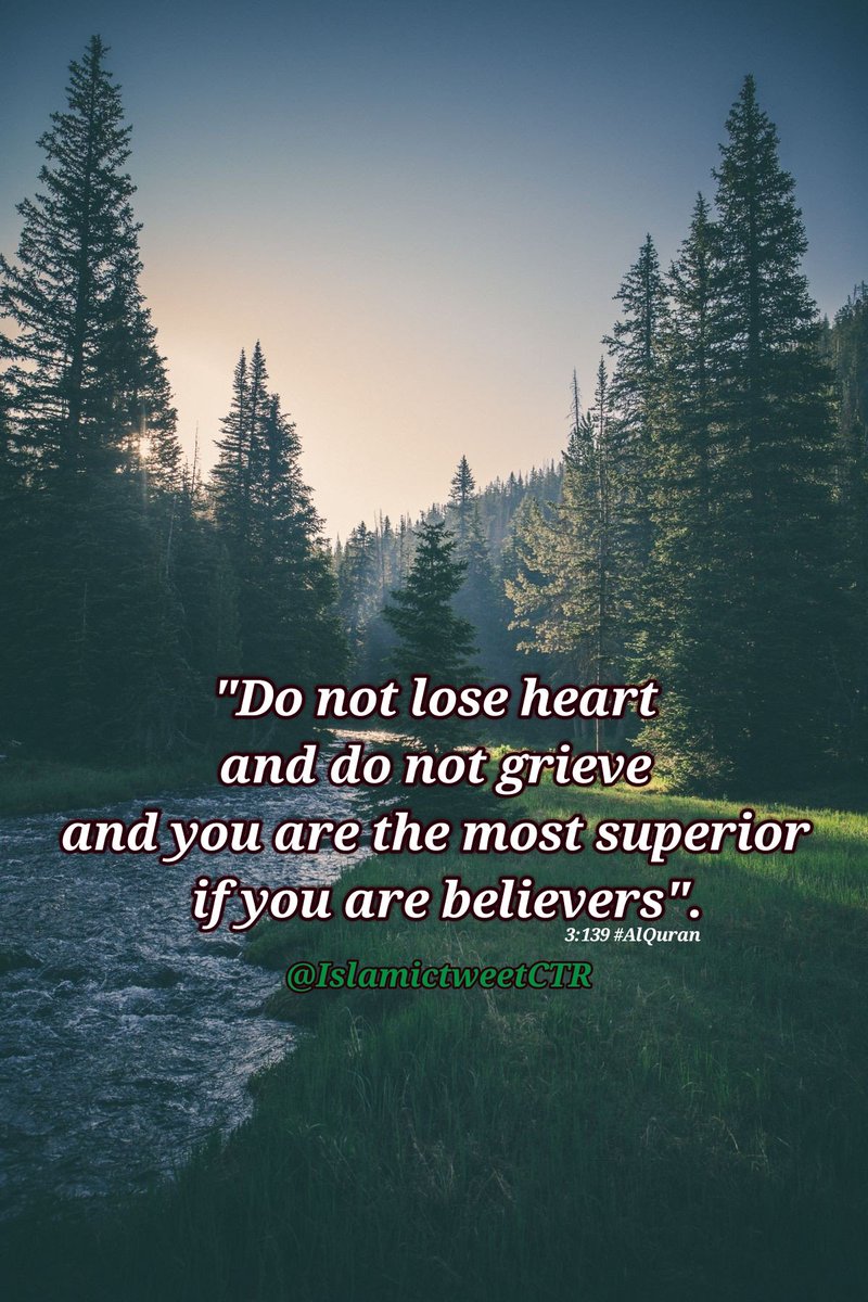 IslamicTweetCTR's tweet photo. Do not grieve....
... you are the most superior..
#AlQuran #QuranTime #Dhikr #Quotes https://t.co/yZPnS17QXx