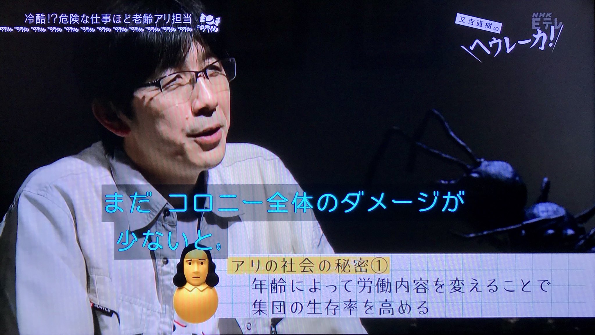 Rieco 超個体 又吉直樹のヘウレーカ Rieco 超個体 又吉直樹のヘウレーカ