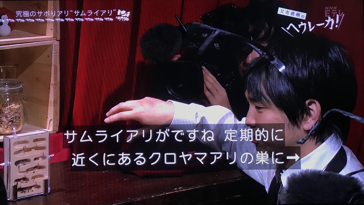 サボる アリ はいないのか 巣の中で動きもしないアリ 実は彼らには役割が 又吉直樹のヘウレーカ Togetter