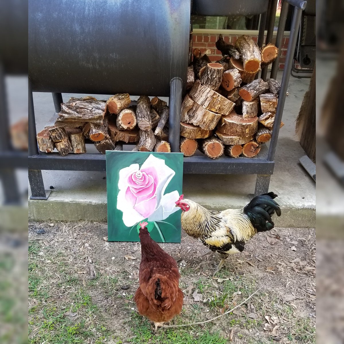 candleangel's tweet photo. Sugar Wing Art by Shanna Ferro ~ #sugarwingartbyshan #ferrofarms #handpainted #art #countrygirl #countryartist #texas #texasartist #texasart #farmart #farmanimalart #bunnys #bunnies #bunnyart #roses #iloveroses🌹 #sheshed #barn #barnartist #barnartstudio #barnstudio https://t.co/2jCBfcVNOr