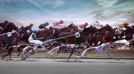 New Zealand Racing Board select <a href="/Promapp/">Prom.App</a>: investing in #BPM for faster, smarter way to deliver new services. ow.ly/r9wP30jGoSd