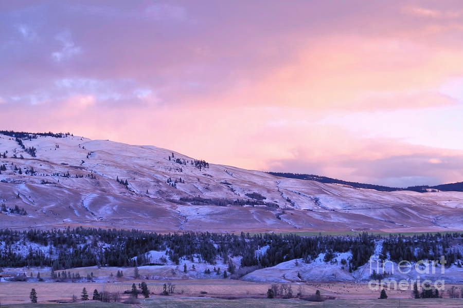 Victork1001's tweet photo. Snow Fallen On Valley by Victor K https://t.co/3xIBW1BkNA
#winter #snow #art #fineart #WallArt #decoration #HomeDecor #Christmas #holidays #winter #storm #Nicolas_Valley #Valley #sunset #winter_sunset #Nature https://t.co/O7zVh4K4oV