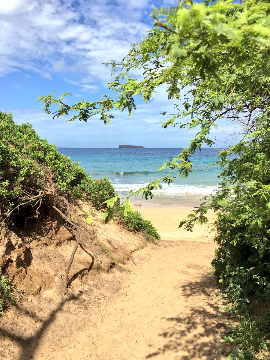 MeghanYost's tweet photo. Missing the beach life. #maui #takemebacktohawaii #vacation #wemovingtomaui? @tjwil62 🏝 https://t.co/RqVoUwbBuJ