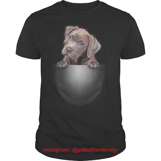 PitBull_SiH's tweet photo. PitBull Cute 📣NOTE❗ Best PitBull 👕 and hoodies EVER in:
 https://t.co/G7Rbtd07zF ❗ 💯Satisfaction Guranteed ! Worldwide shipping🌍📦
Click link in bio to shop...🛒 ➡️ https://t.co/G7Rbtd07zF
#itsapittiething #pitbullsofinsta #pitbullsofinstagram #pitstagram #pittiesofinsta https://t.co/8AeBvGZeMg