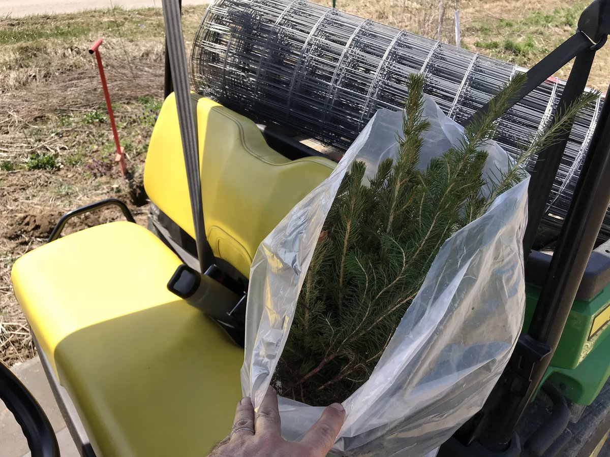 CopperheadULTD's tweet photo. Better part of 100 Norway Spruce planted at my farm. It’s #EarthDay everyday out here https://t.co/4yjJZ4bOTp