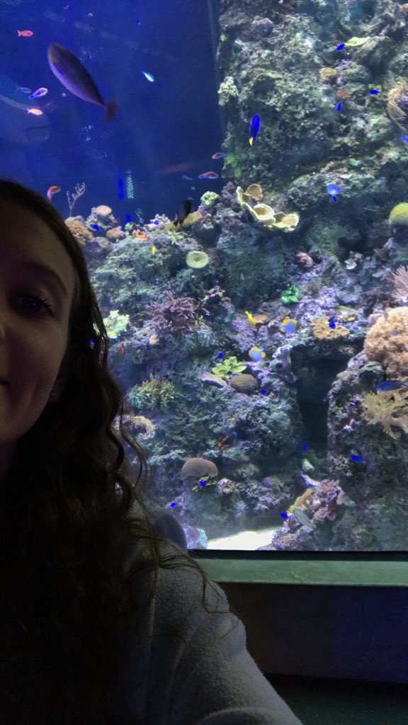 JuliaSaxe's tweet photo. Coral reef exhibit at the #frostscience museum. Coral reefs are made up of lots of tiny animals and are a home to many other forms of marine life. @tashanataylor #UMtaylor https://t.co/akcC6FDrXa