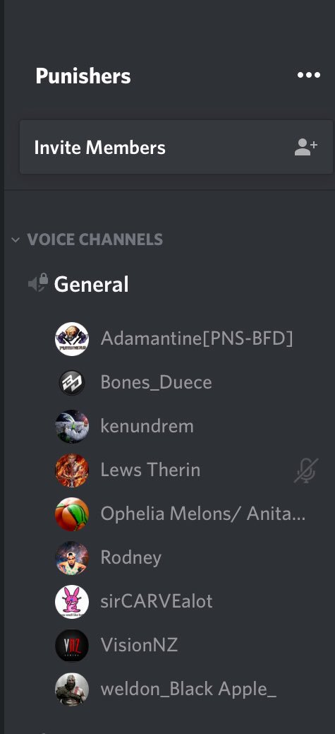 PunishersWin's tweet photo. How many clans can say their voice chat is this lit on a wednesday night!!!!  #nerdclan https://t.co/pdwqFPsYgL