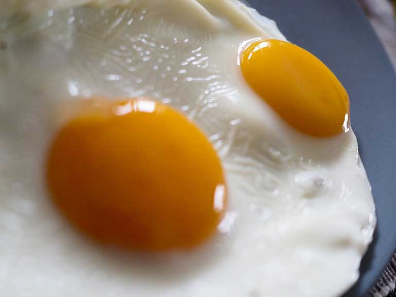 The strongest egg yolk
