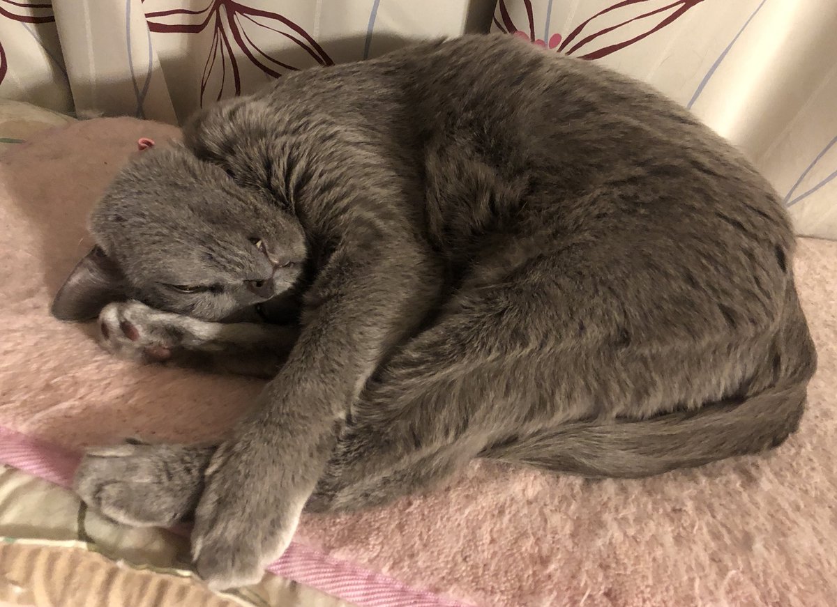この、いたずらっ子め❤️ 