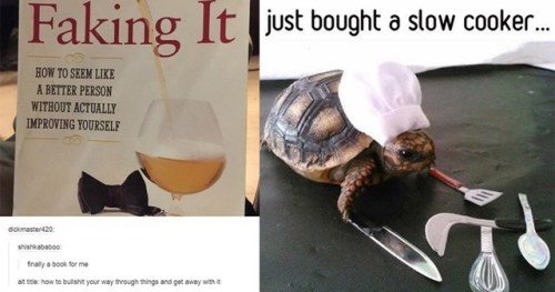 Télécharger gratuitement Images Funny Memes On Twitter 50 Clever Tumblr Posts To Give You A dernière par